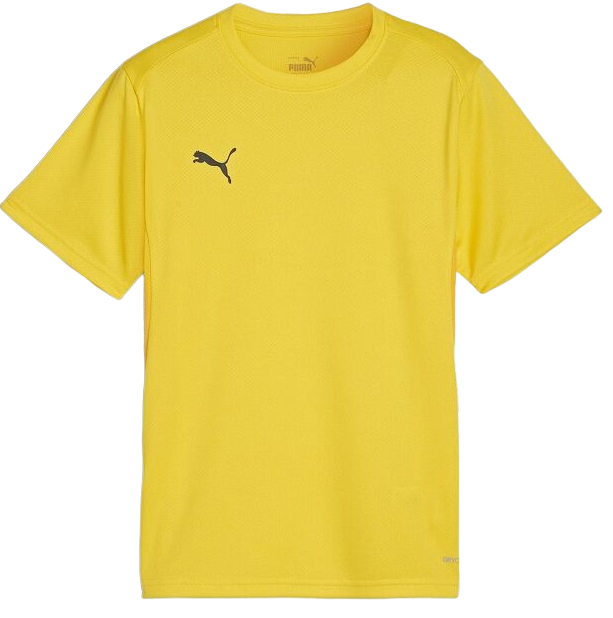 podkoszulek Puma teamGOAL T-Shirt