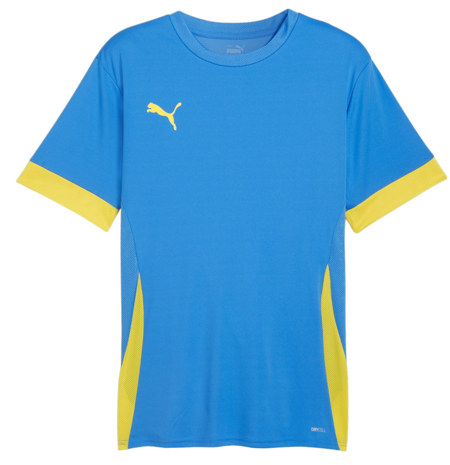 Koszulka Puma teamGOAL Matchday Jersey