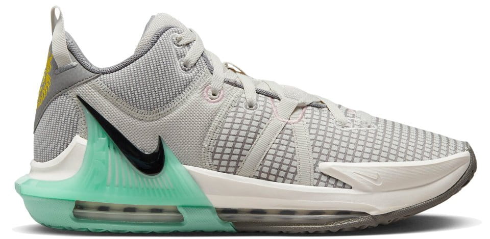 lebron nike trainers